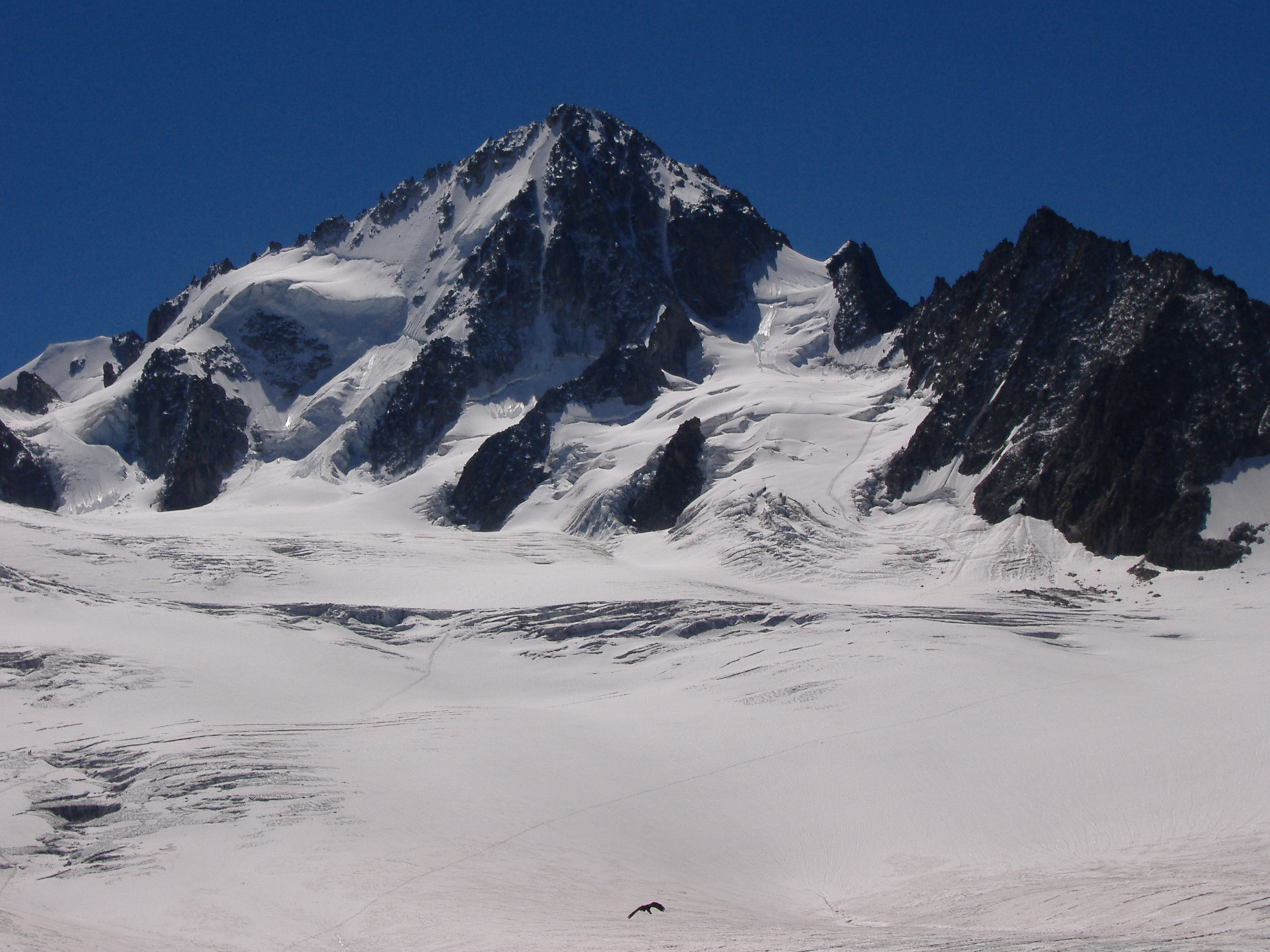 Alpes 2010 026