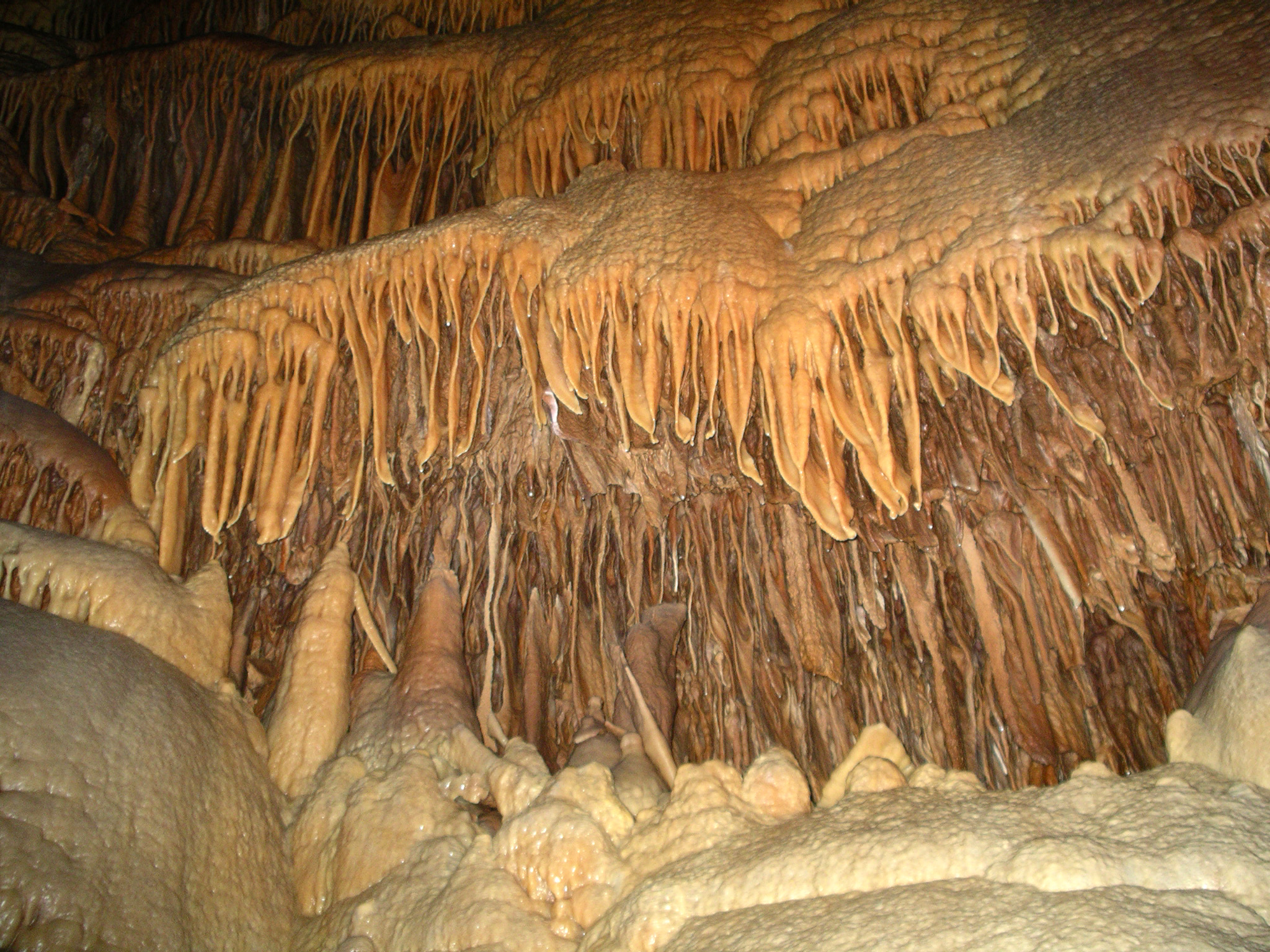 IMGP1242 Grotte de Dargilan
