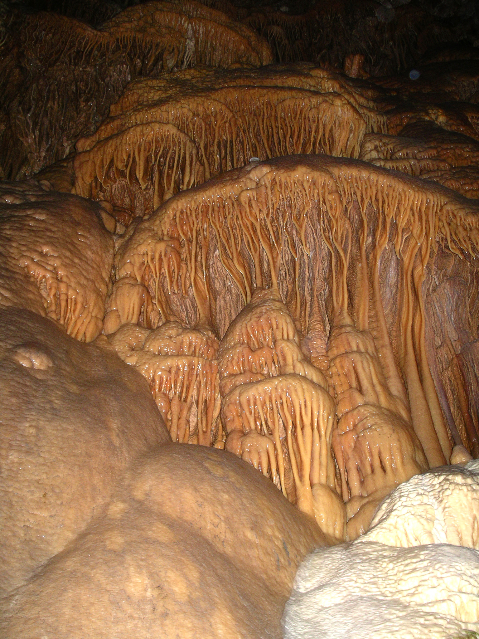 IMGP1246 Grotte de Dargilan