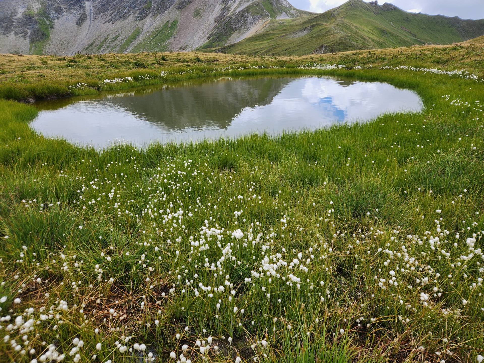 Petit lac